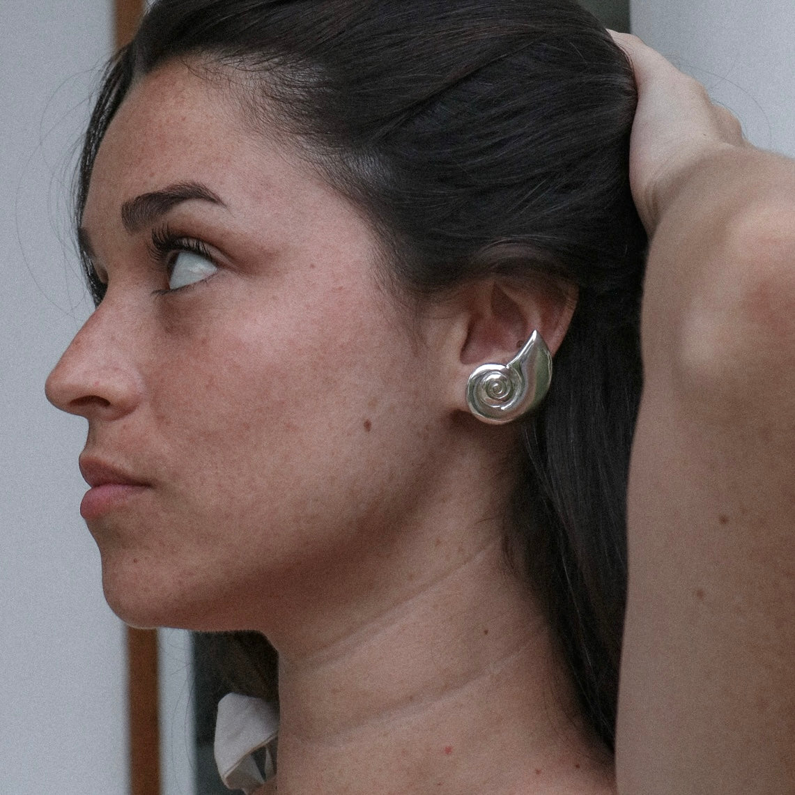 Aretes Caracol