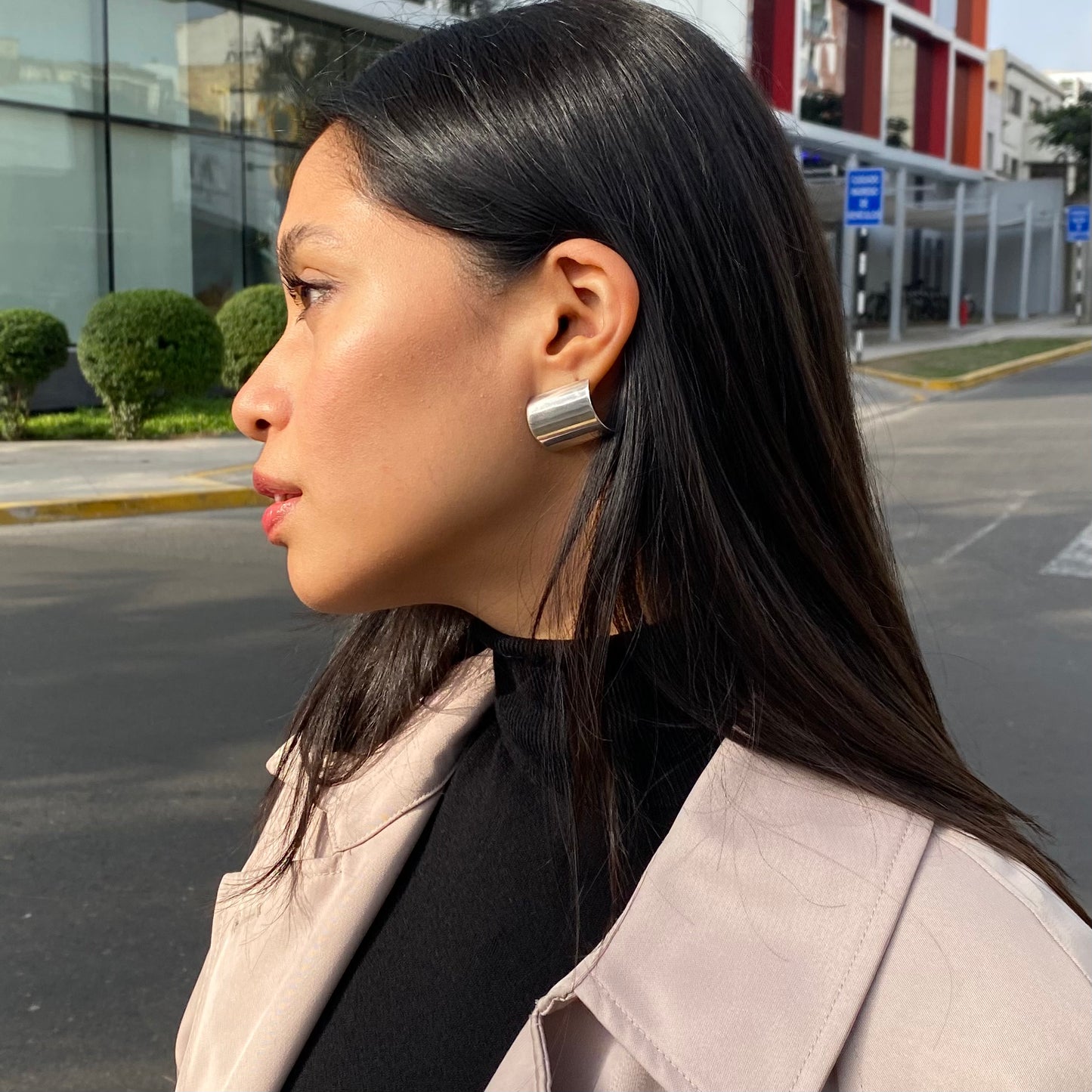 Aretes de plata Cuadro